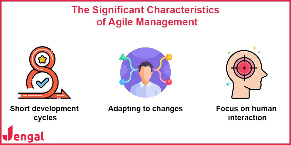 the significant characteristics of agile management